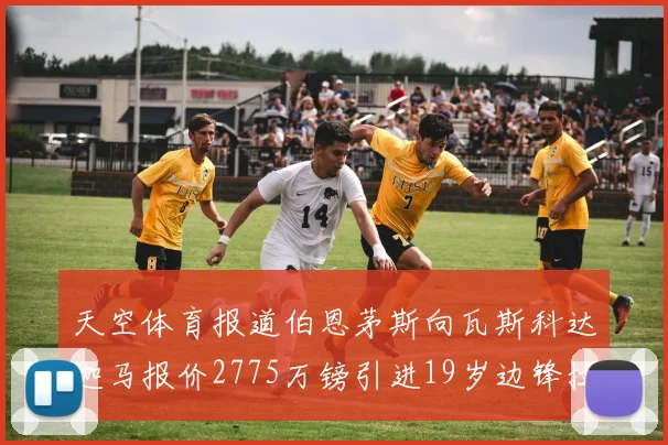 天空体育报道伯恩茅斯向瓦斯科达迦马报价2775万镑引进19岁边锋拉扬