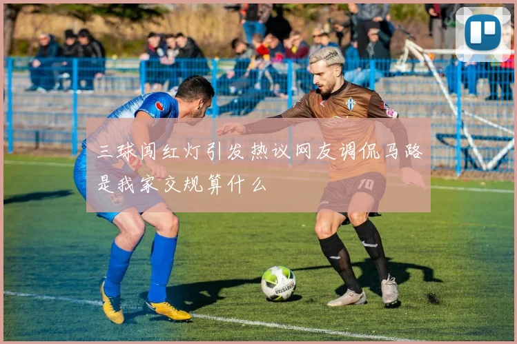 三球闯红灯引发热议网友调侃马路是我家交规算什么
