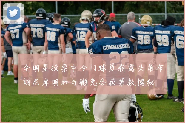 全明星投票中冷门球员崭露头角布朗尼库明加与獭兔各获票数揭秘