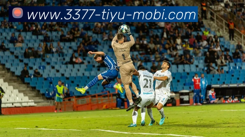 3377体育发展历程